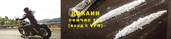 ПСИЛОЦИБИНОВЫЕ ГРИБЫ Белоозёрский